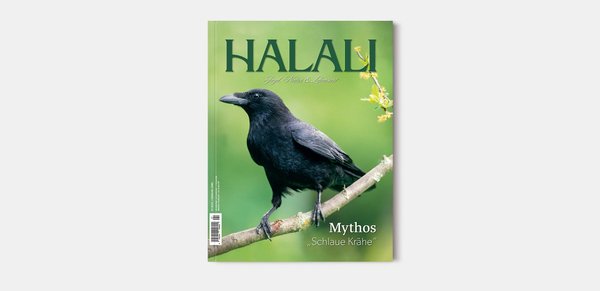 HALALI Jagd, Natur & Lebensart Aktuelle Ausgabe 02⎥2024